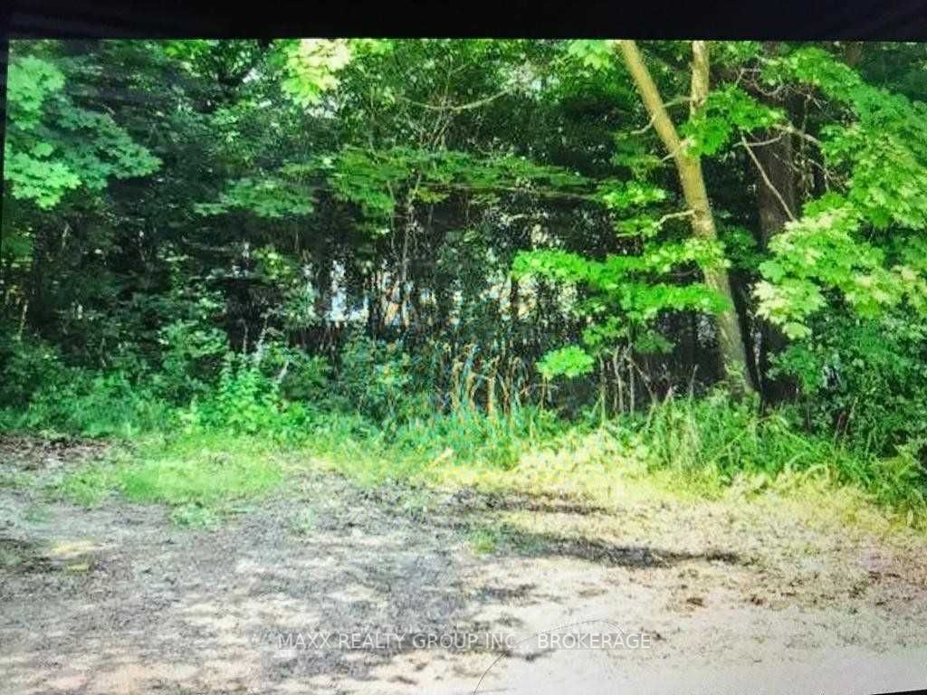 Listing X5928099 - Large Photo # 13