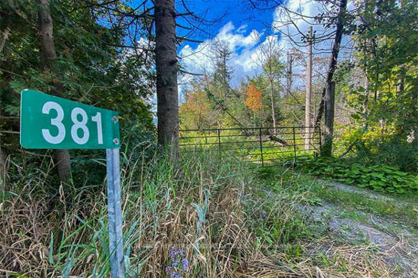 381 Mark Rd, Kawartha Lakes