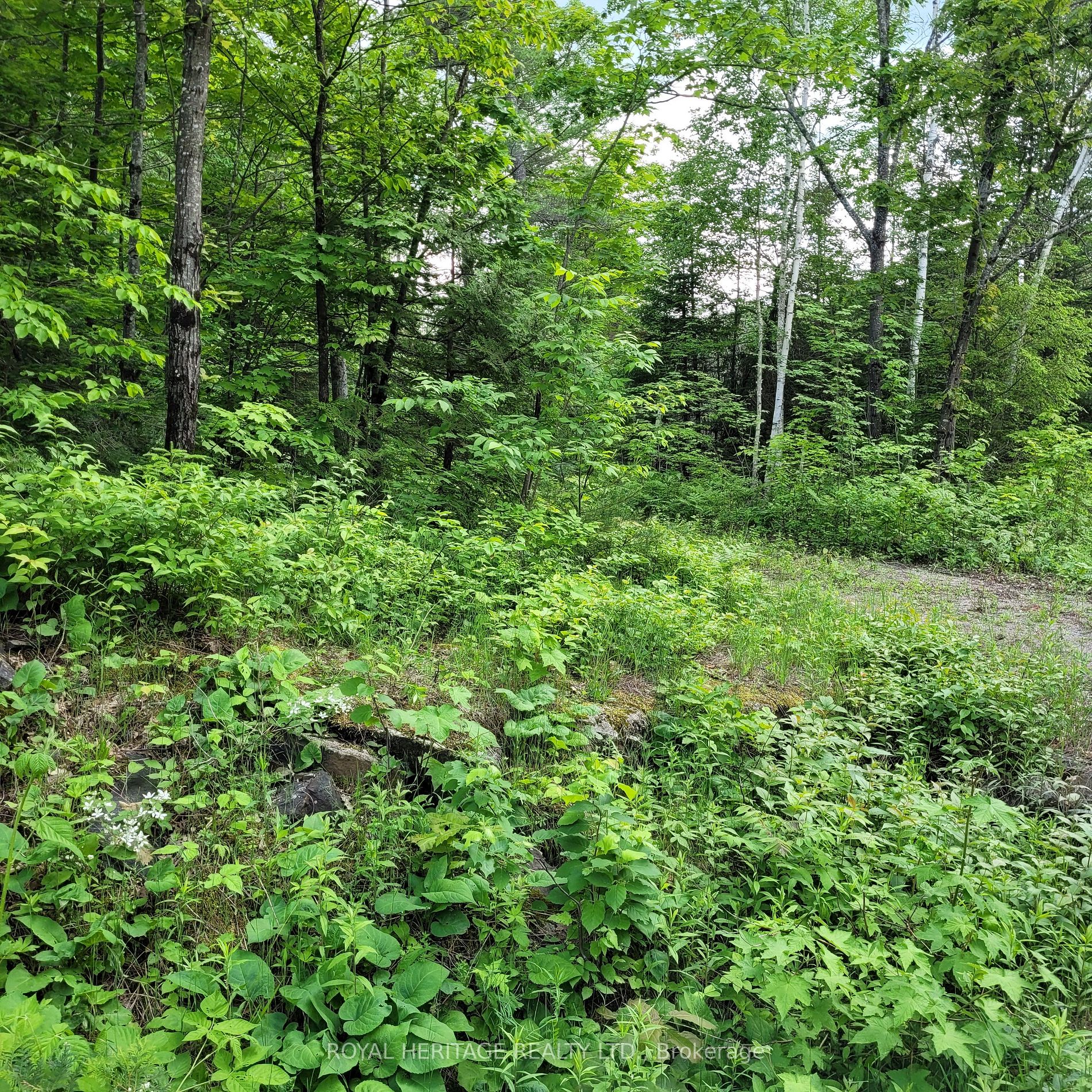 Listing X5933172 - Large Photo # 25