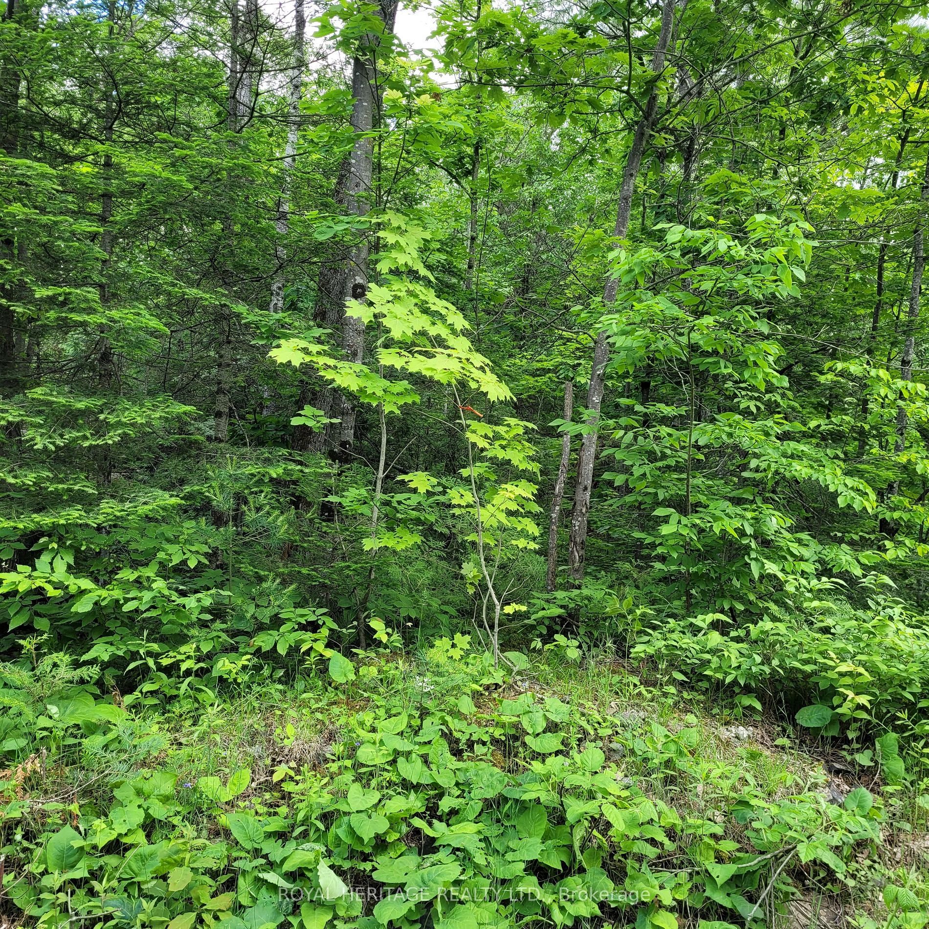 Listing X5933172 - Large Photo # 27