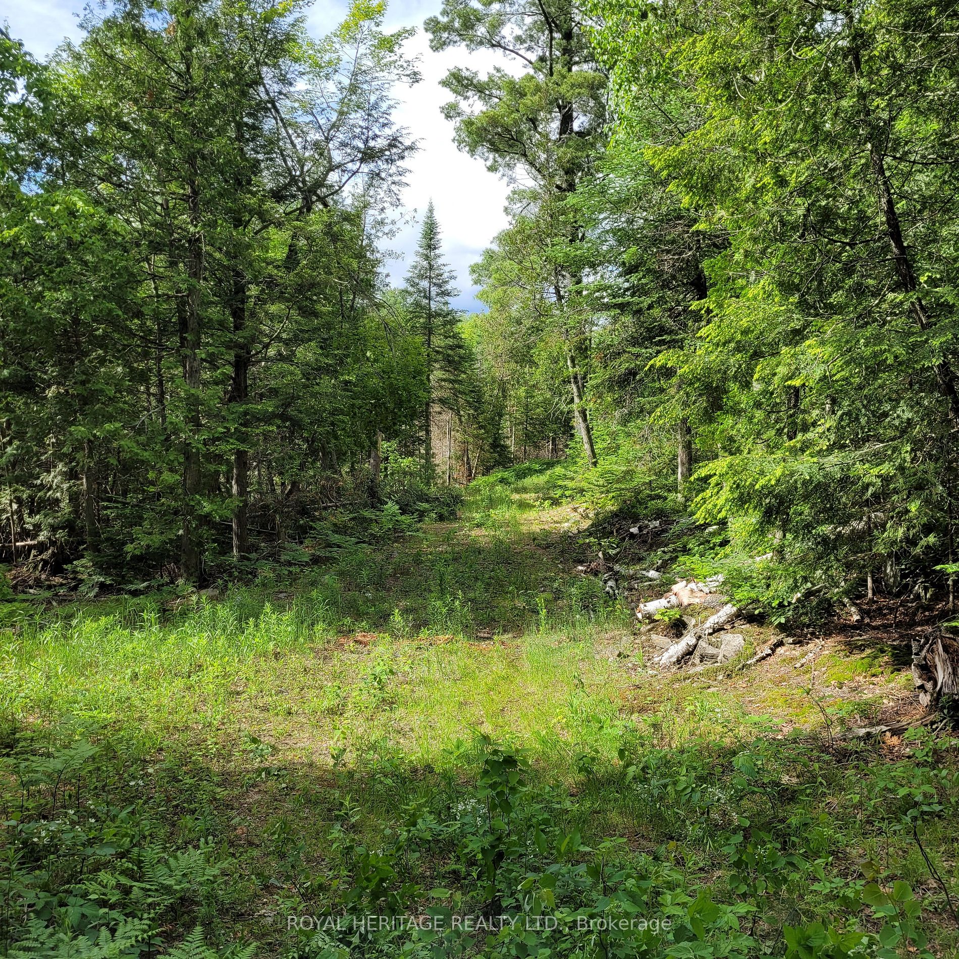 Listing X5933172 - Large Photo # 4