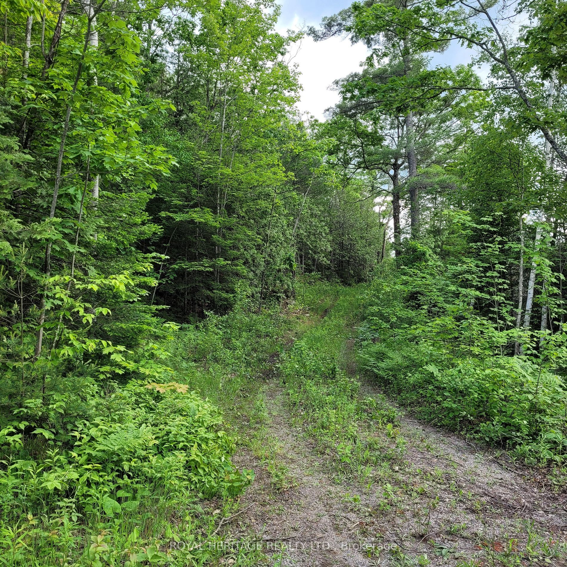 Listing X5933172 - Large Photo # 2