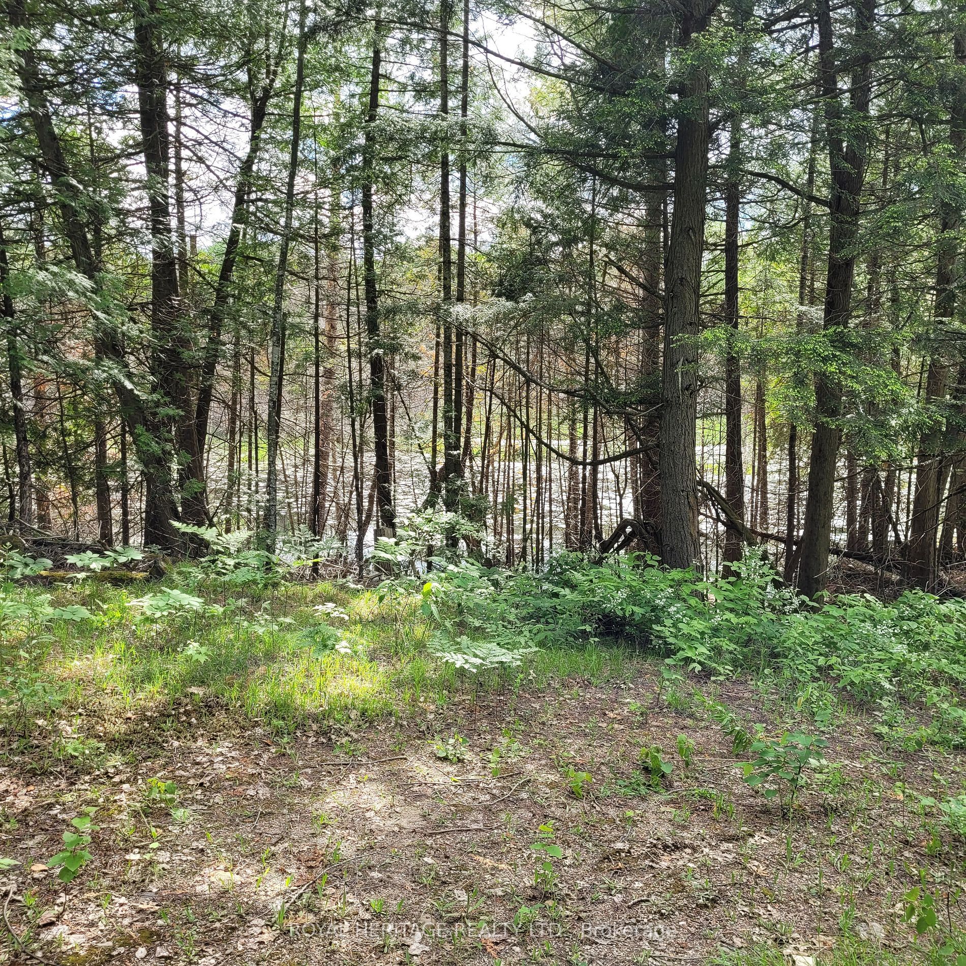 Listing X5933172 - Large Photo # 13