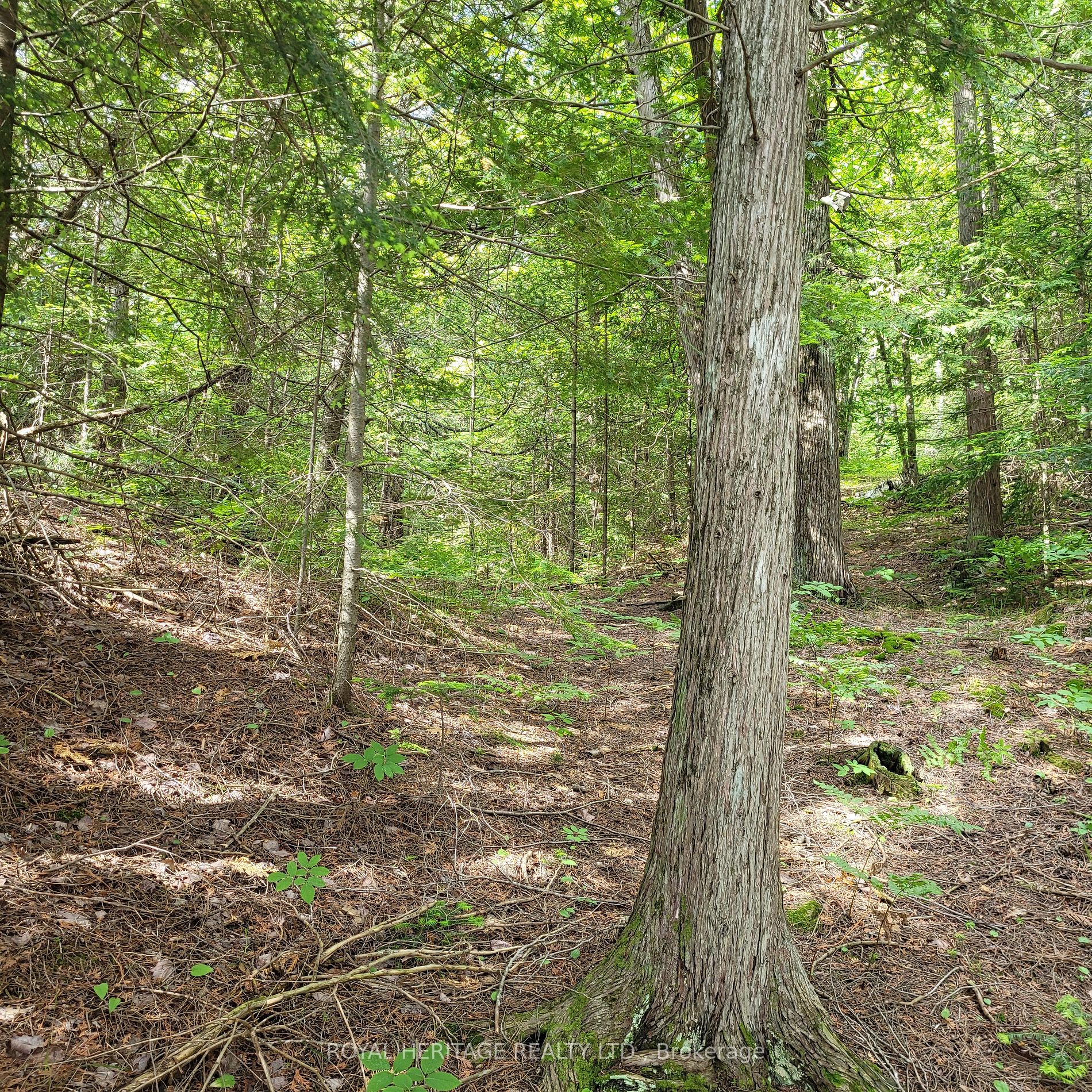 Listing X5933172 - Large Photo # 19
