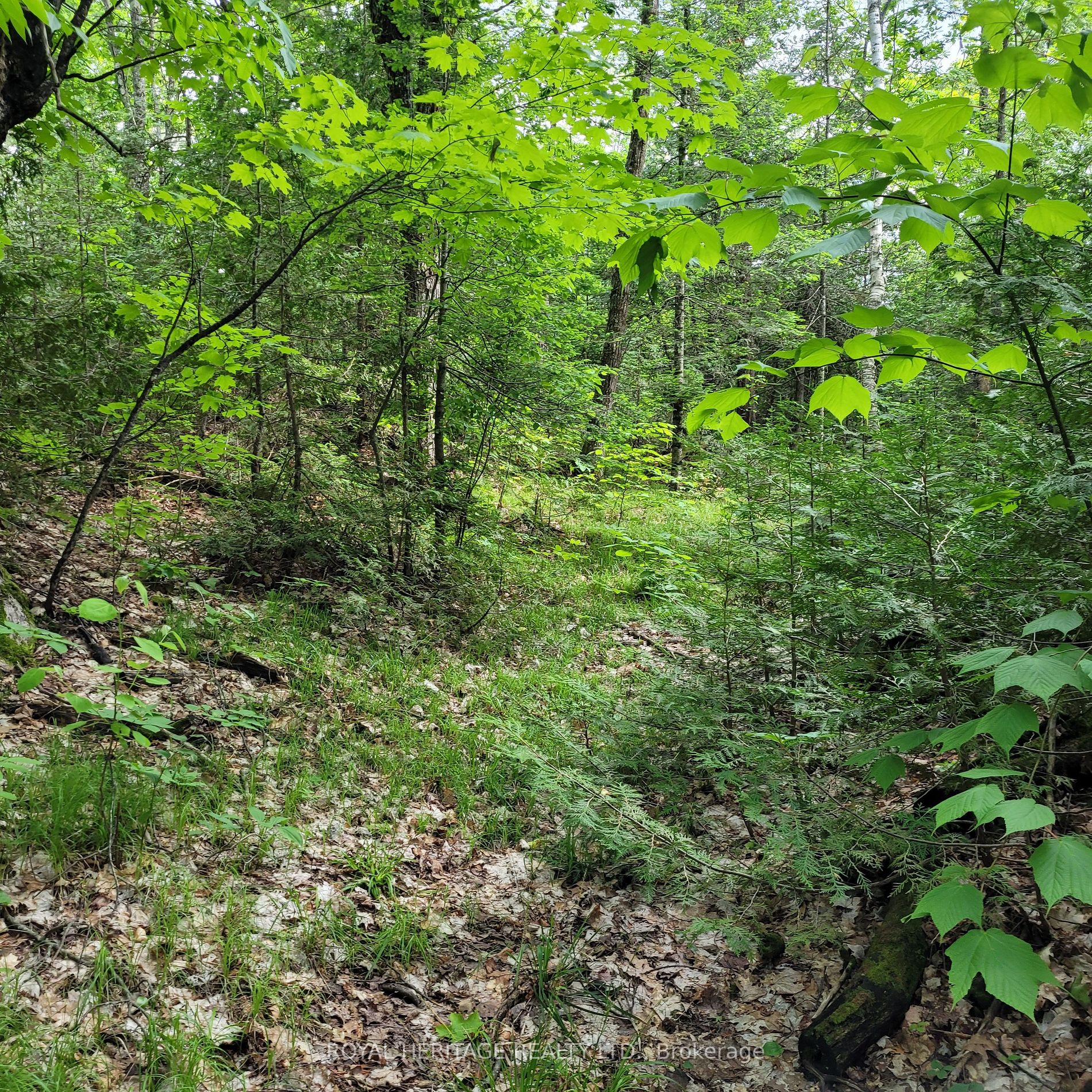 Listing X5933172 - Large Photo # 21