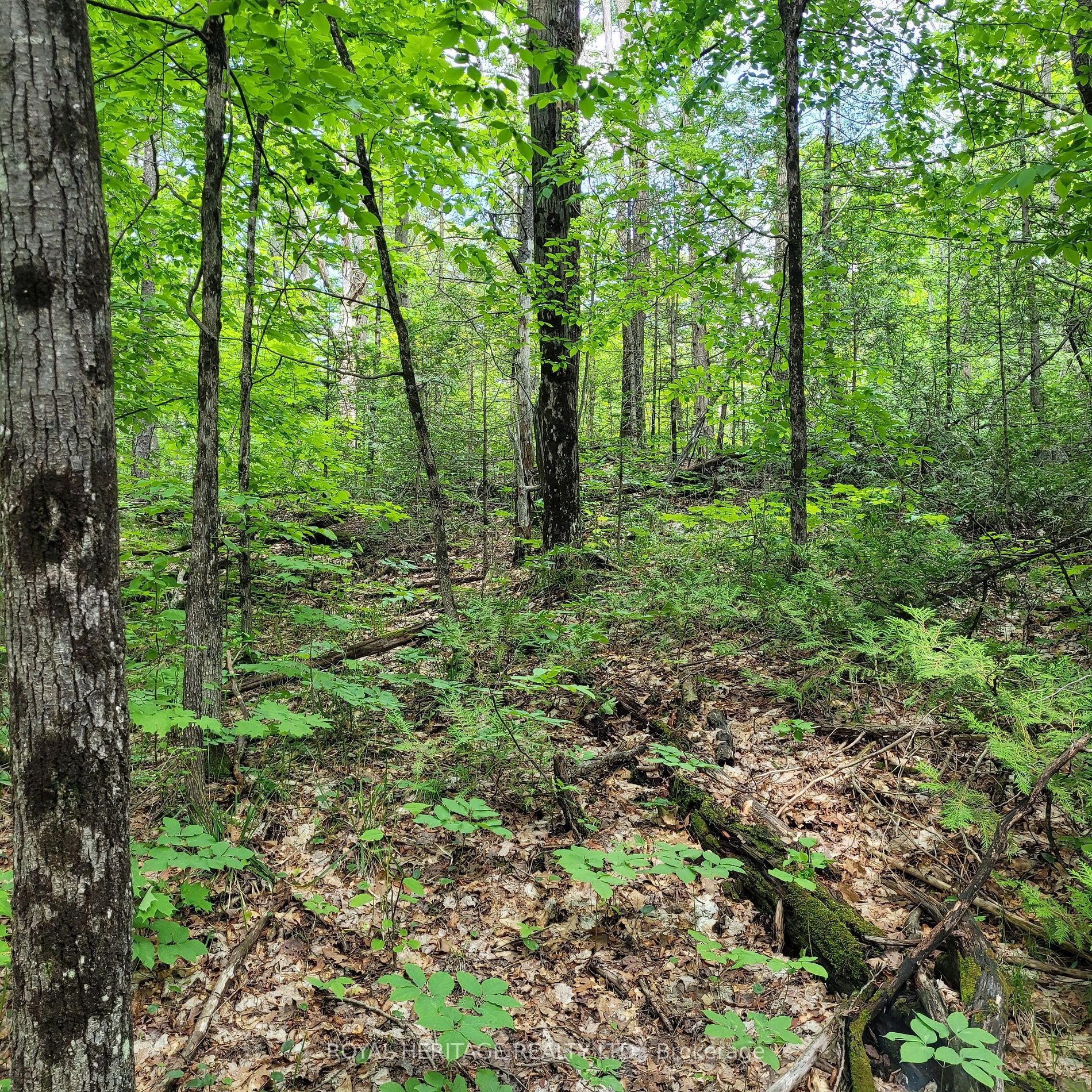 Listing X5933172 - Large Photo # 20