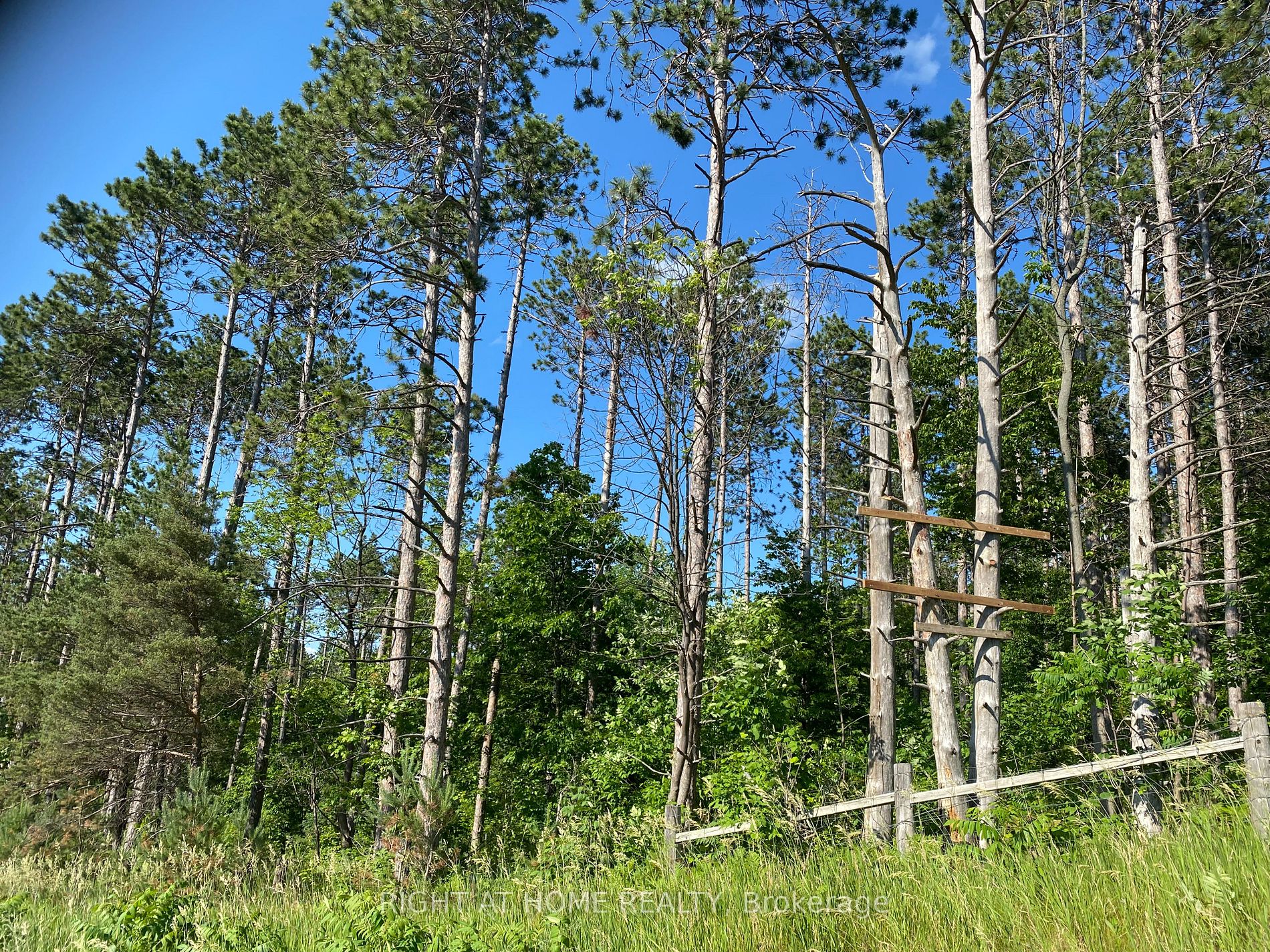 Listing X5933468 - Large Photo # 3