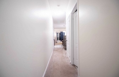 7766 Hackberry Tr