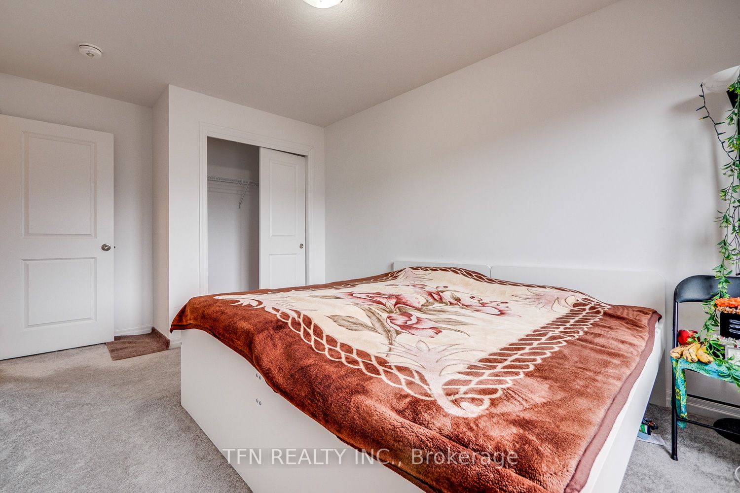 11 Shedrow Pl