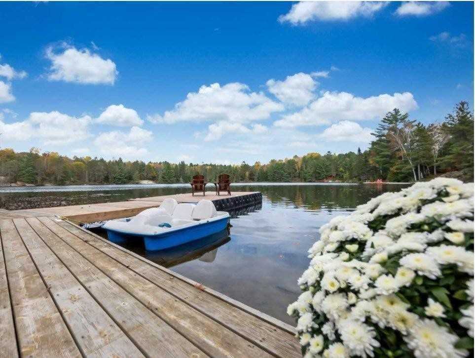 Listing X5937997 - Large Photo # 37