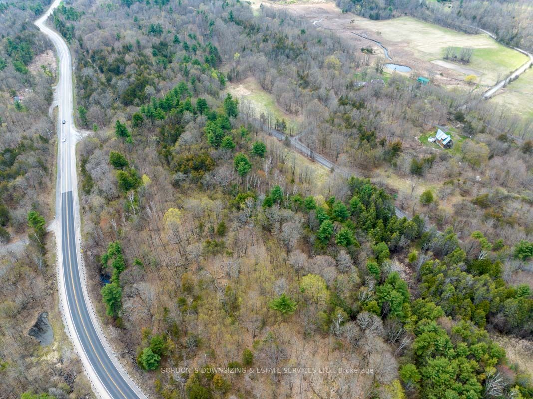 43 Frye Road