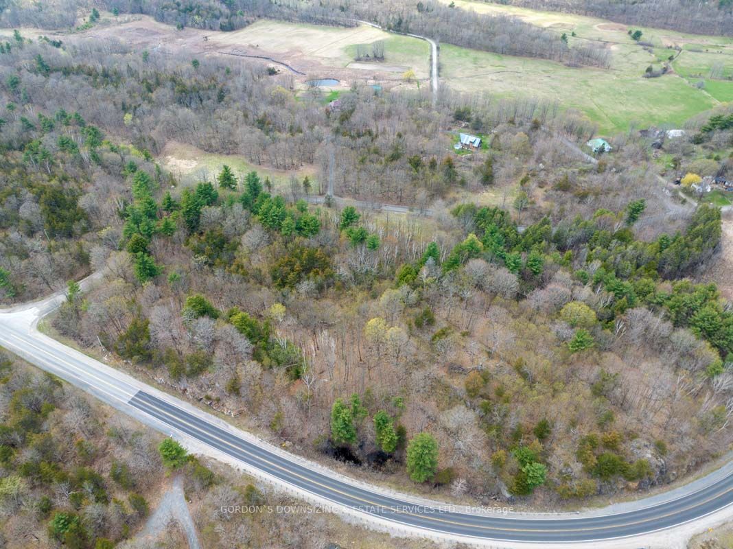 43 Frye Road