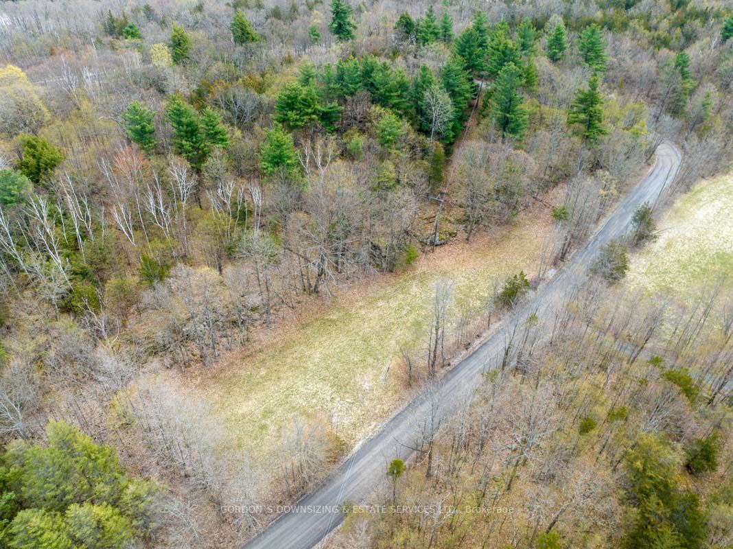 43 Frye Road