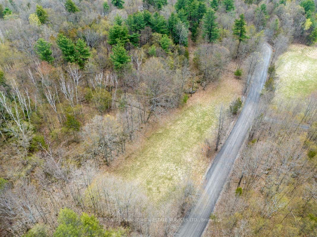 43 Frye Road