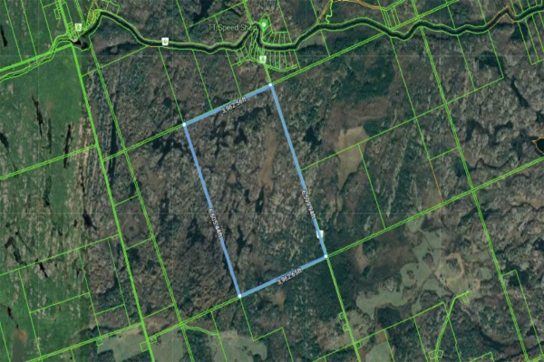 26-28 Chisholm Tr, Kawartha Lakes