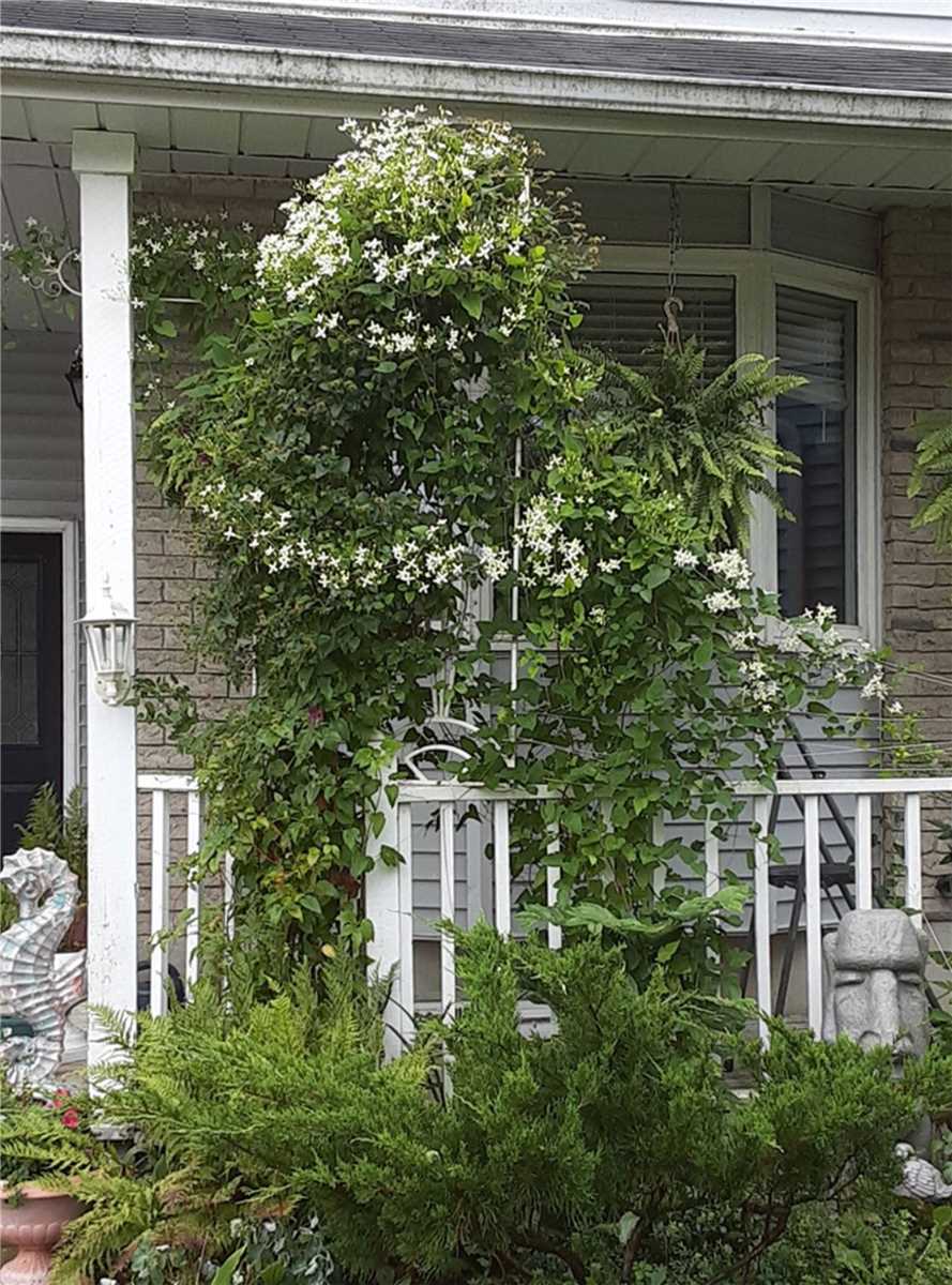 Listing X5943443 - Large Photo # 13