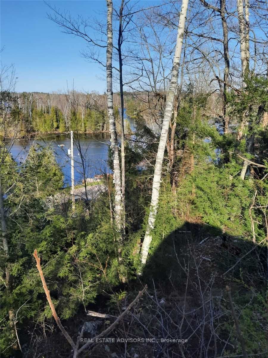 Listing X5944684 - Large Photo # 4