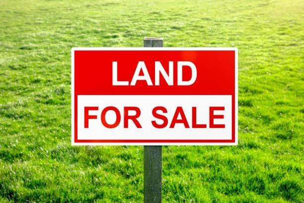 Listing X5944685 - Large Photo # 1