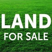 Listing X5948439 - Large Photo # 1