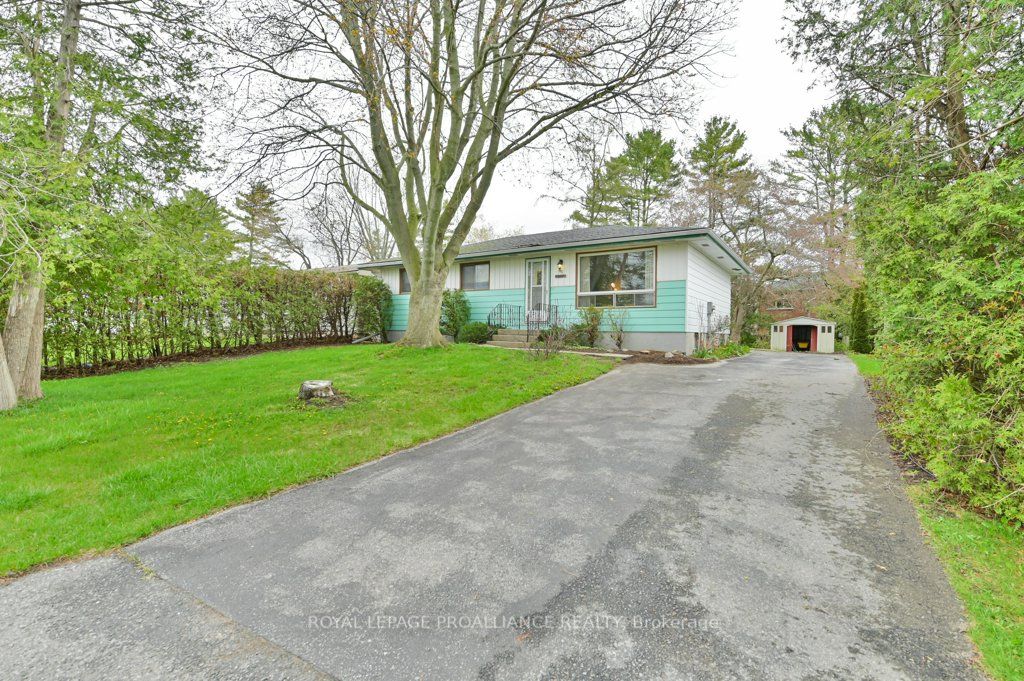 115 Cedar Street