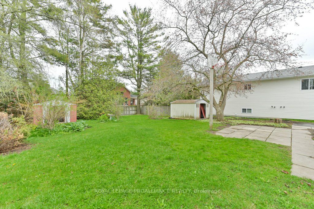 115 Cedar Street