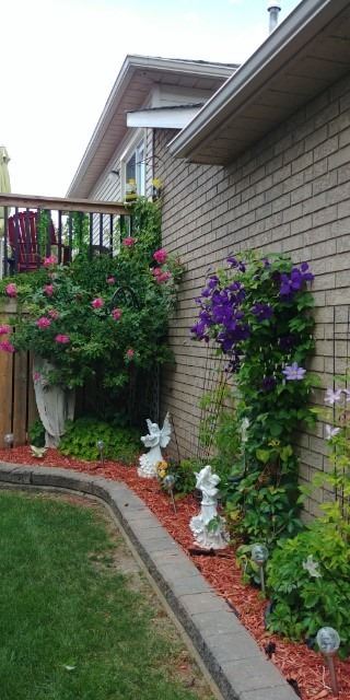 Listing X5951147 - Large Photo # 35
