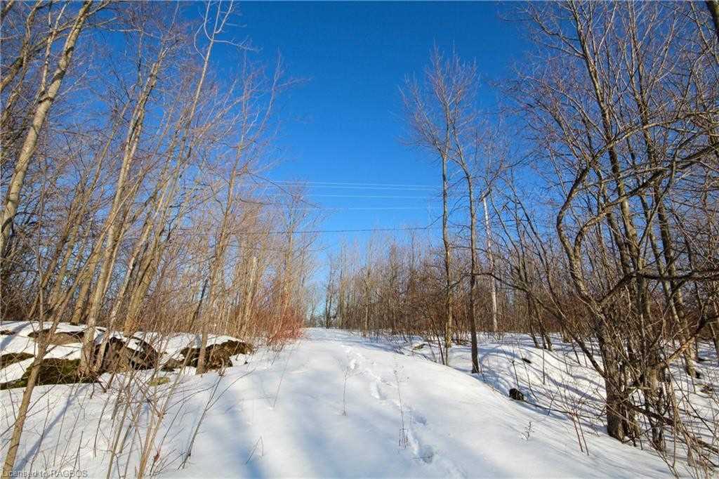 Listing X5952967 - Large Photo # 26