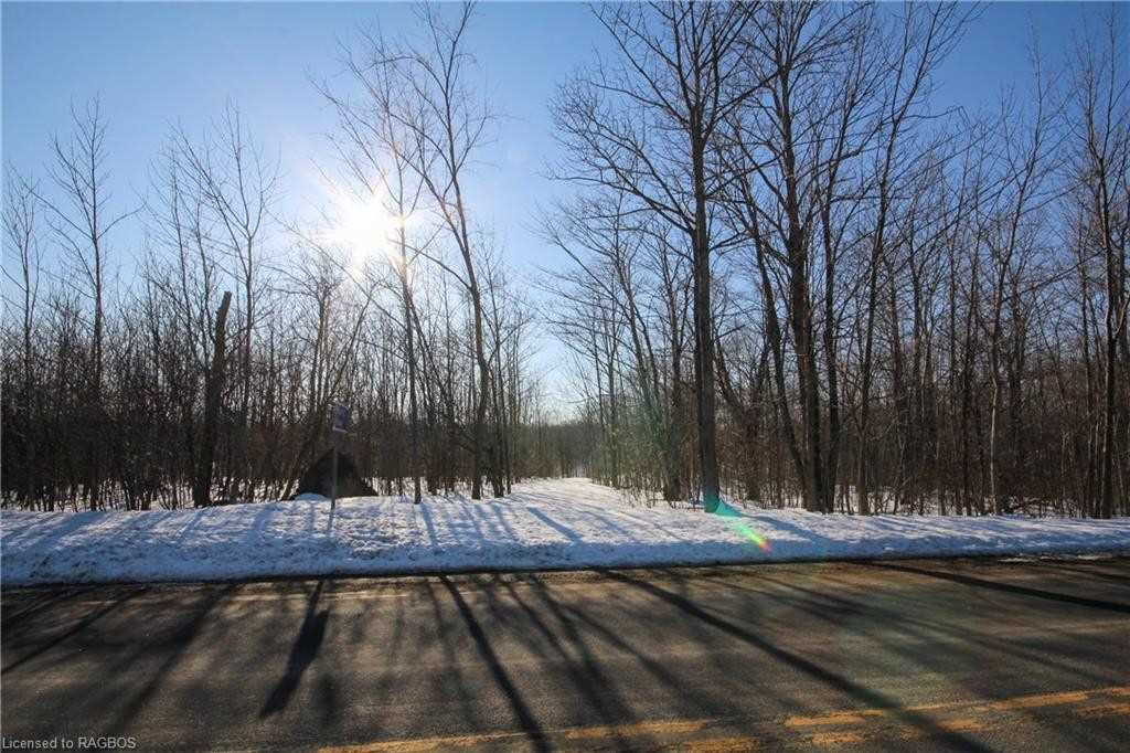 Listing X5952967 - Large Photo # 4