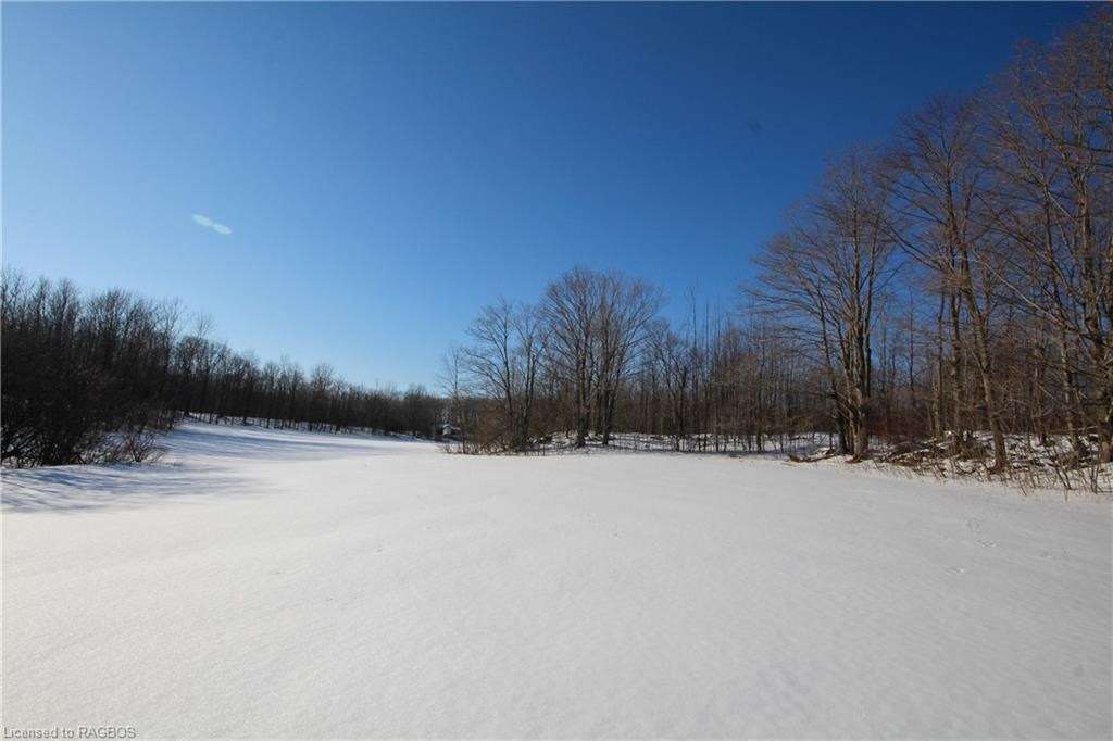 Listing X5952967 - Large Photo # 28
