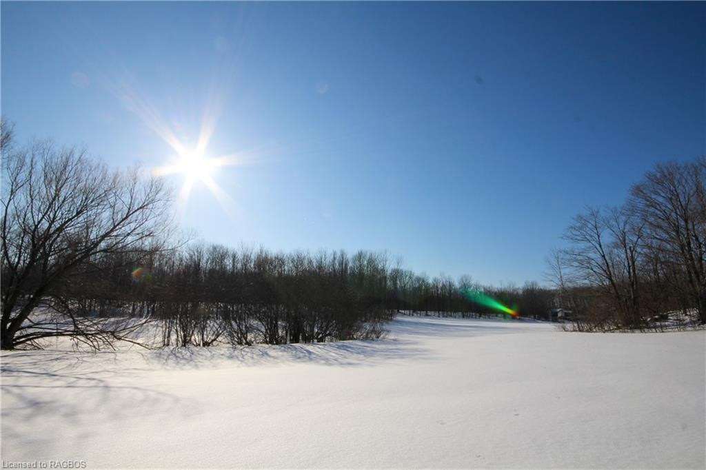 Listing X5952967 - Large Photo # 29