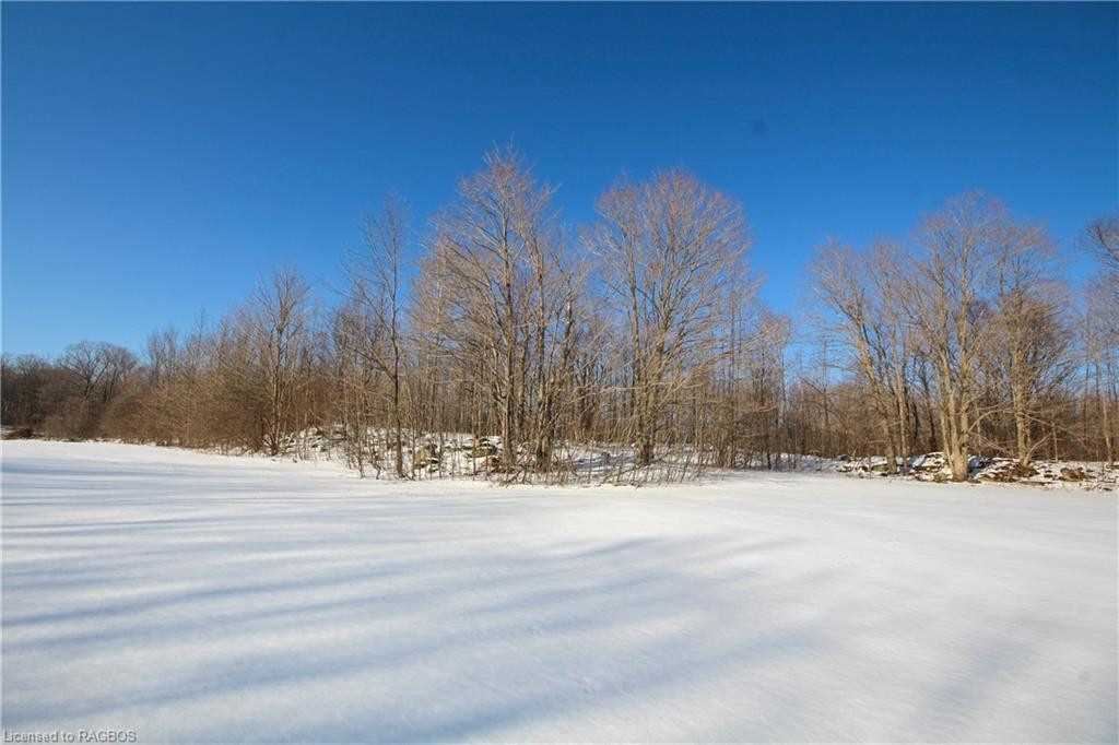 Listing X5952967 - Large Photo # 30