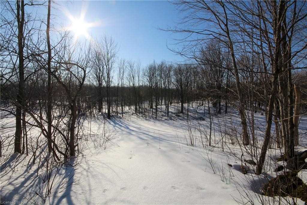 Listing X5952967 - Large Photo # 25
