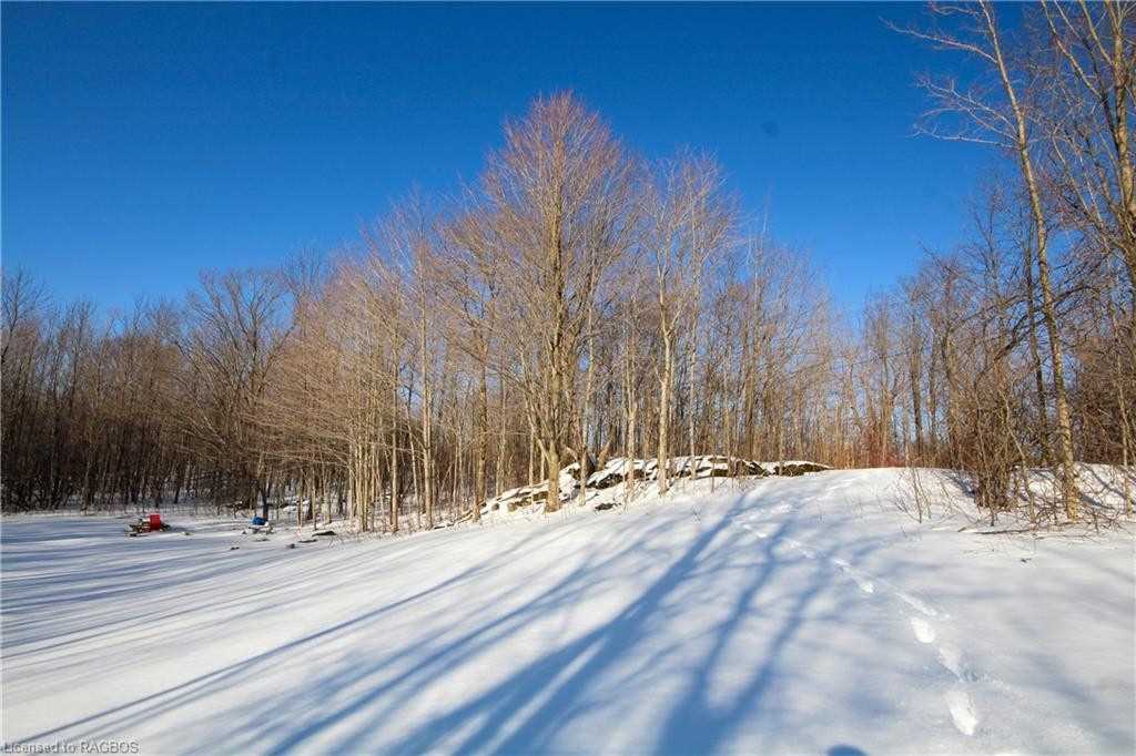 Listing X5952967 - Large Photo # 27