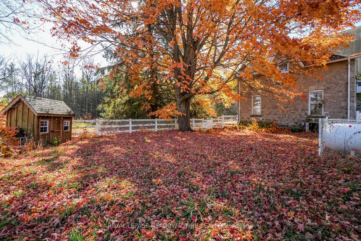 Listing X5953108 - Large Photo # 26