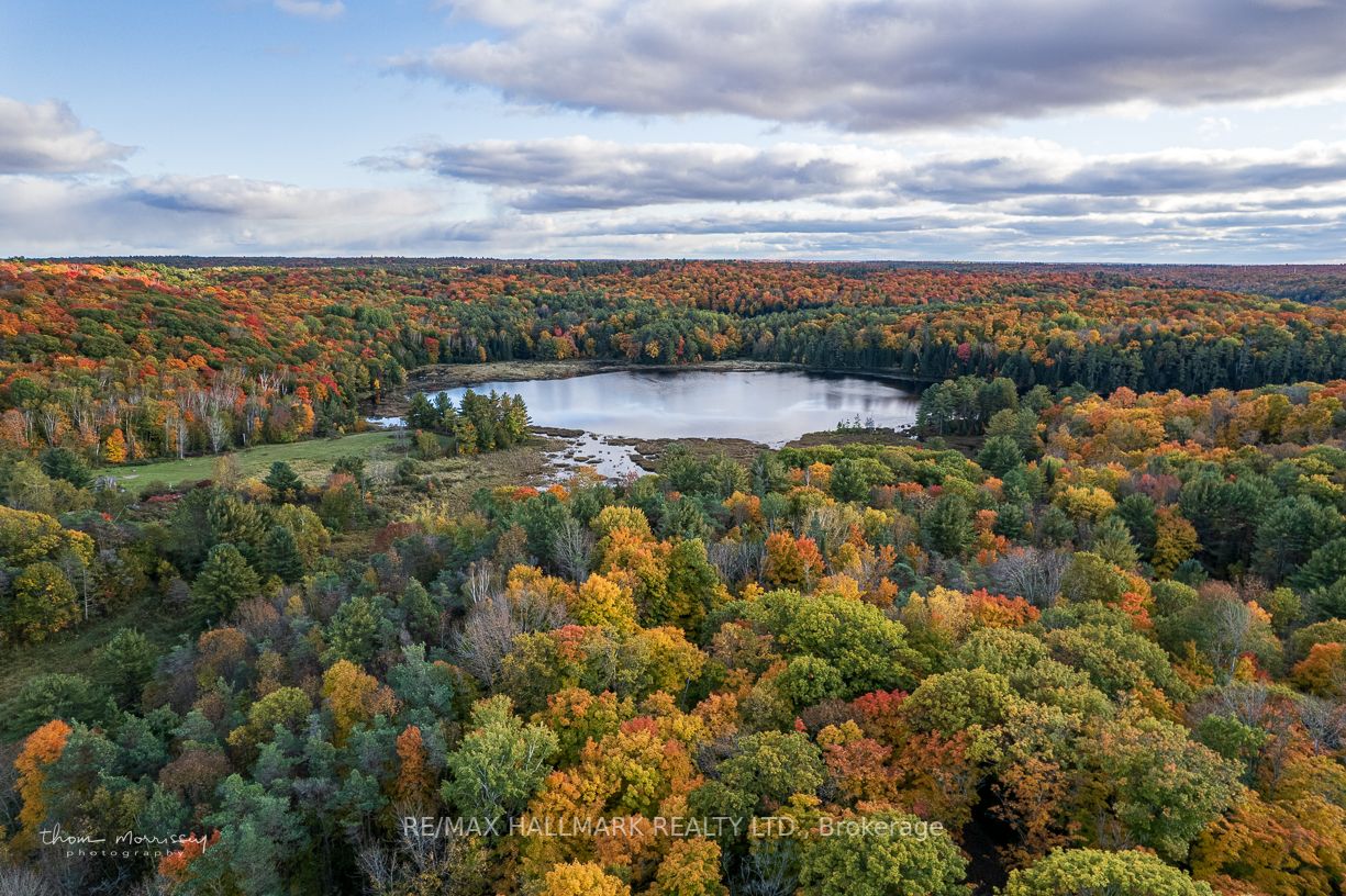 Listing X5954748 - Large Photo # 2
