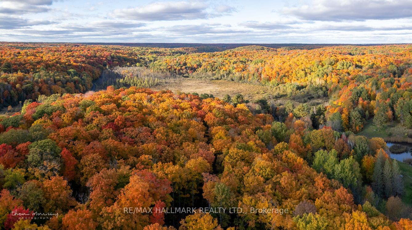 Listing X5954748 - Large Photo # 4