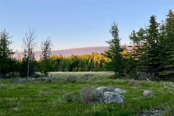 Lot 35 Big Buck Blvd, Gordon/Barrie Island
