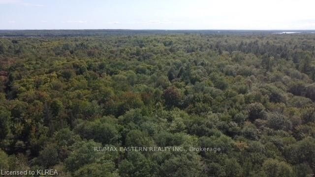 Listing X5958415 - Large Photo # 3