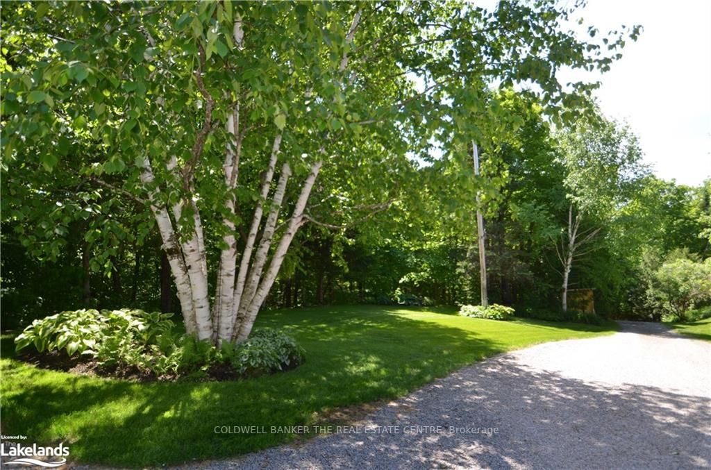 Listing X5958448 - Large Photo # 37
