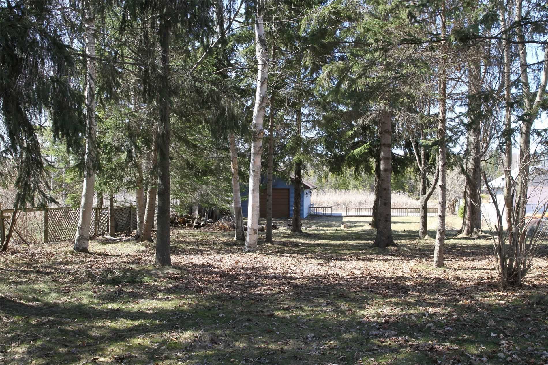 31 Driftwood Shores Road