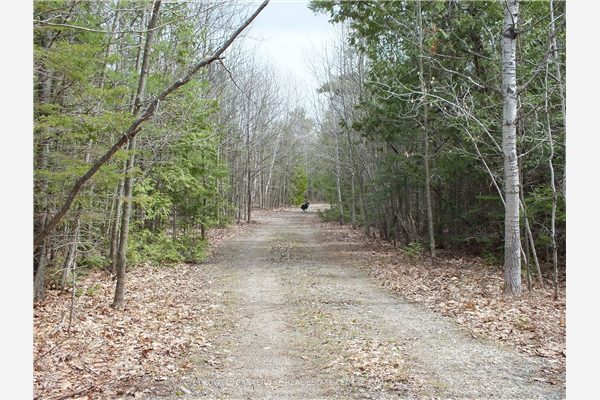 N/A Dial Rd S, Central Manitoulin