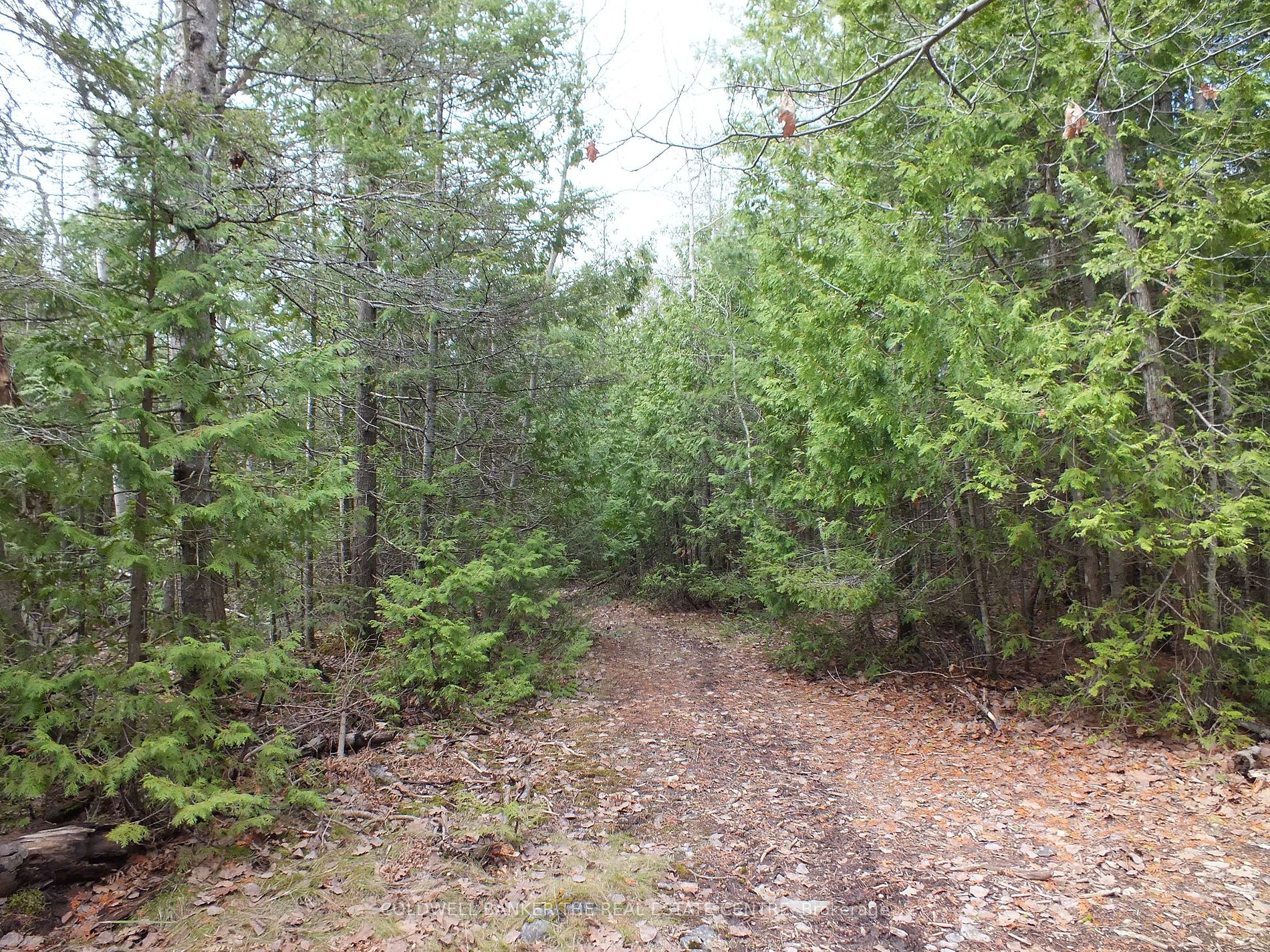 Listing X5959344 - Large Photo # 2