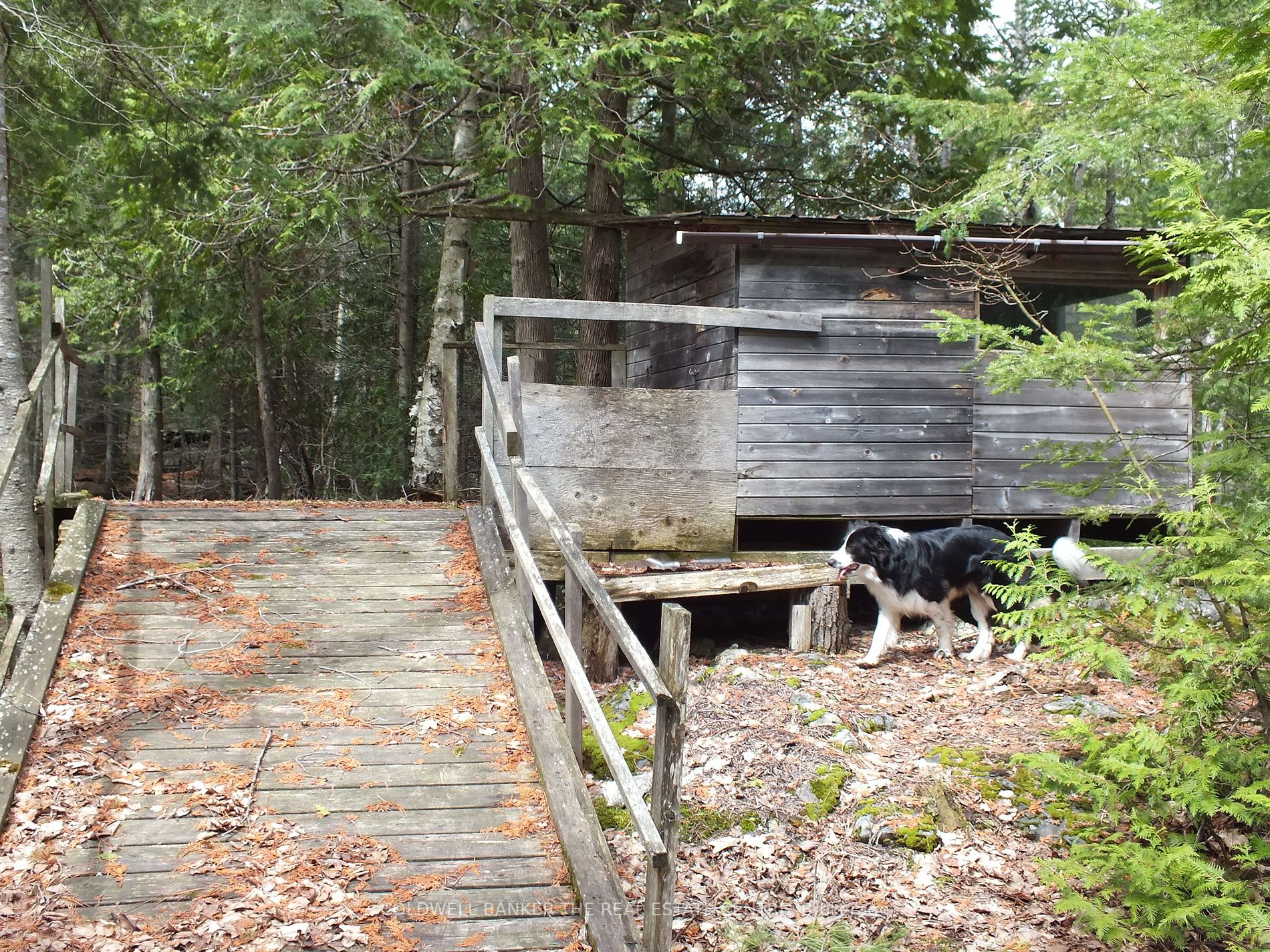 Listing X5959344 - Large Photo # 3