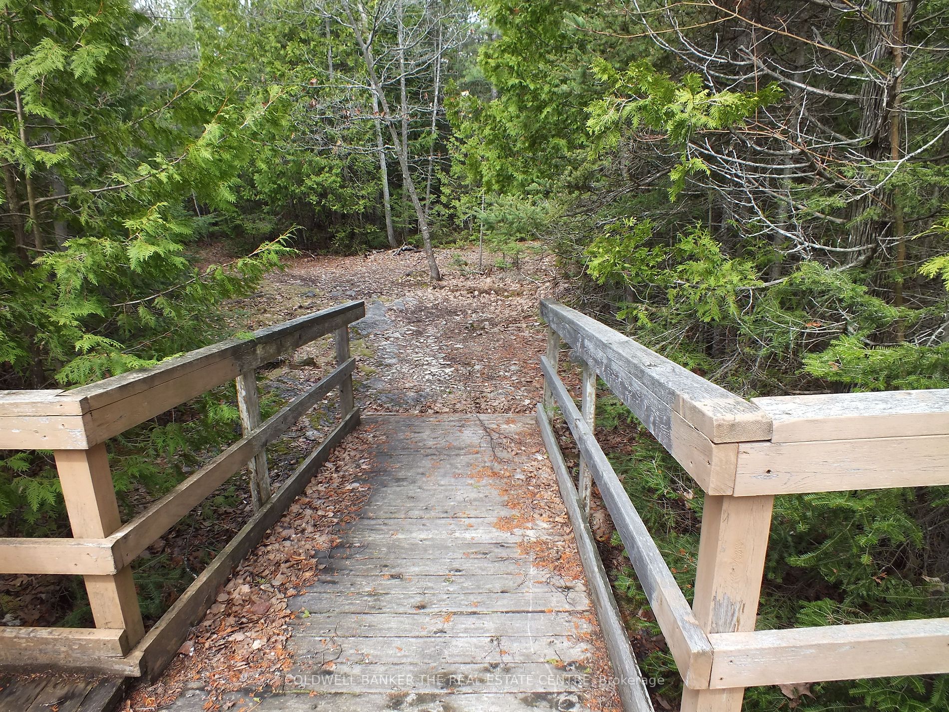 Listing X5959344 - Large Photo # 5