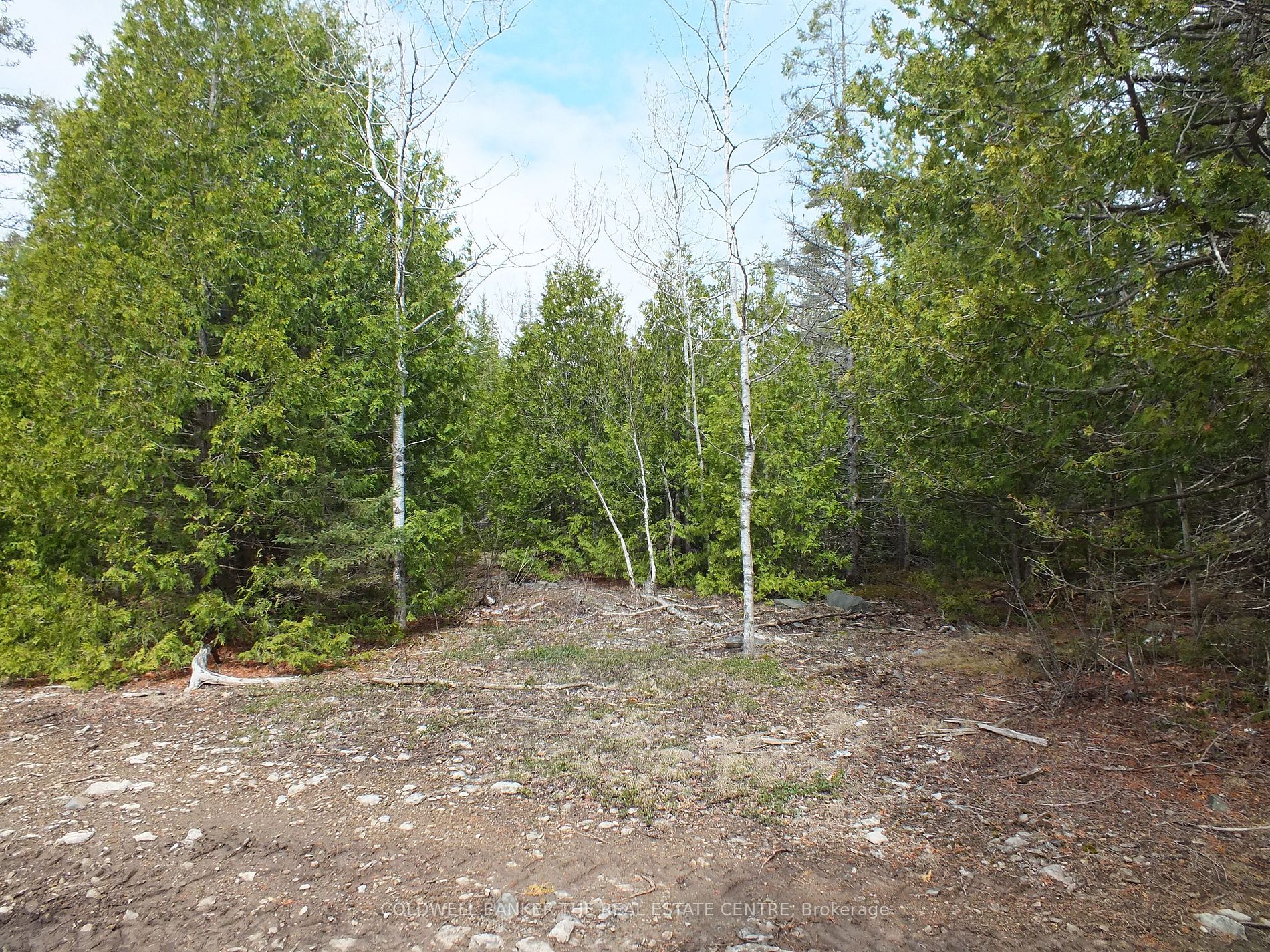 Listing X5959344 - Large Photo # 14