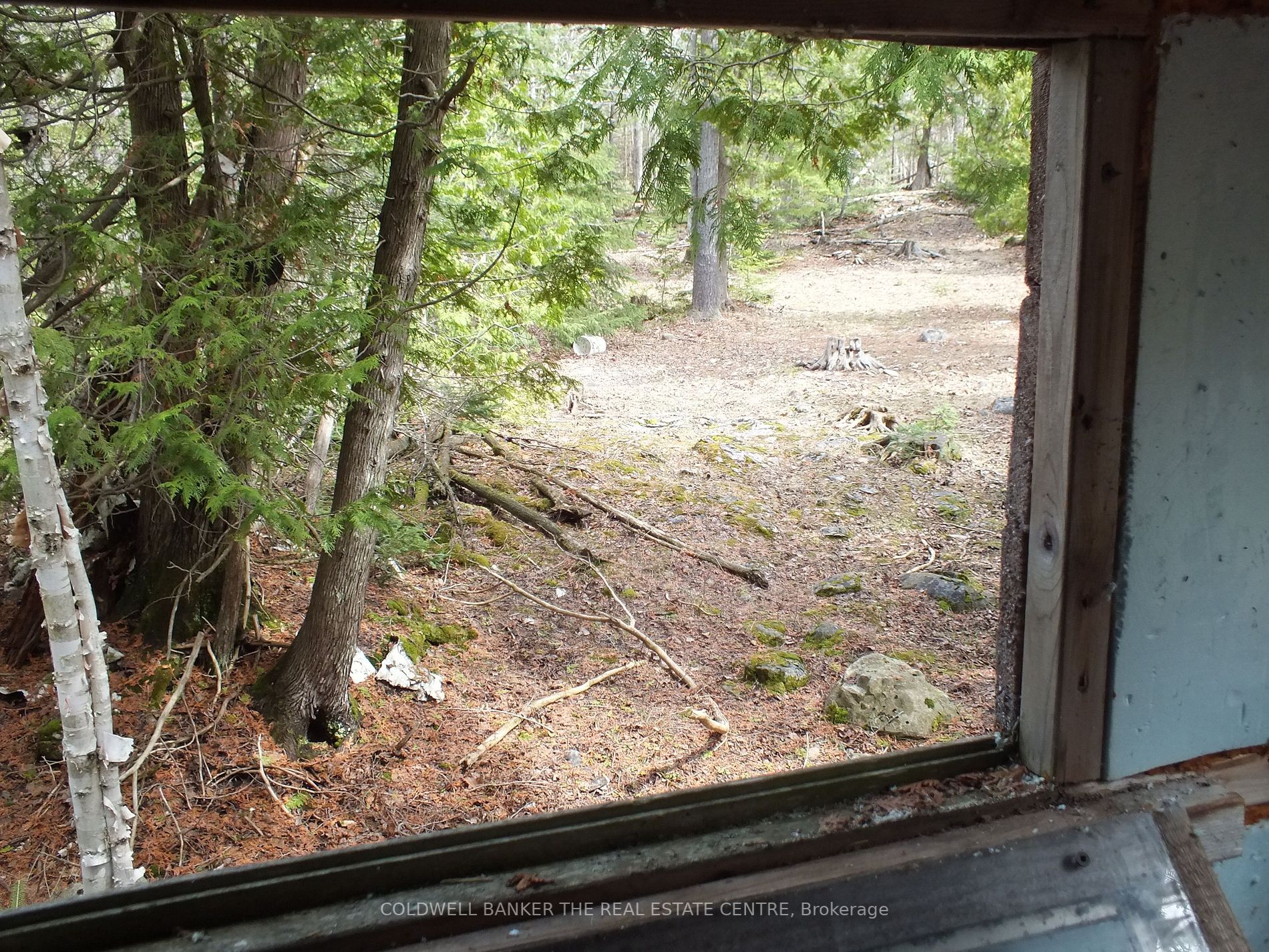 Listing X5959344 - Large Photo # 6