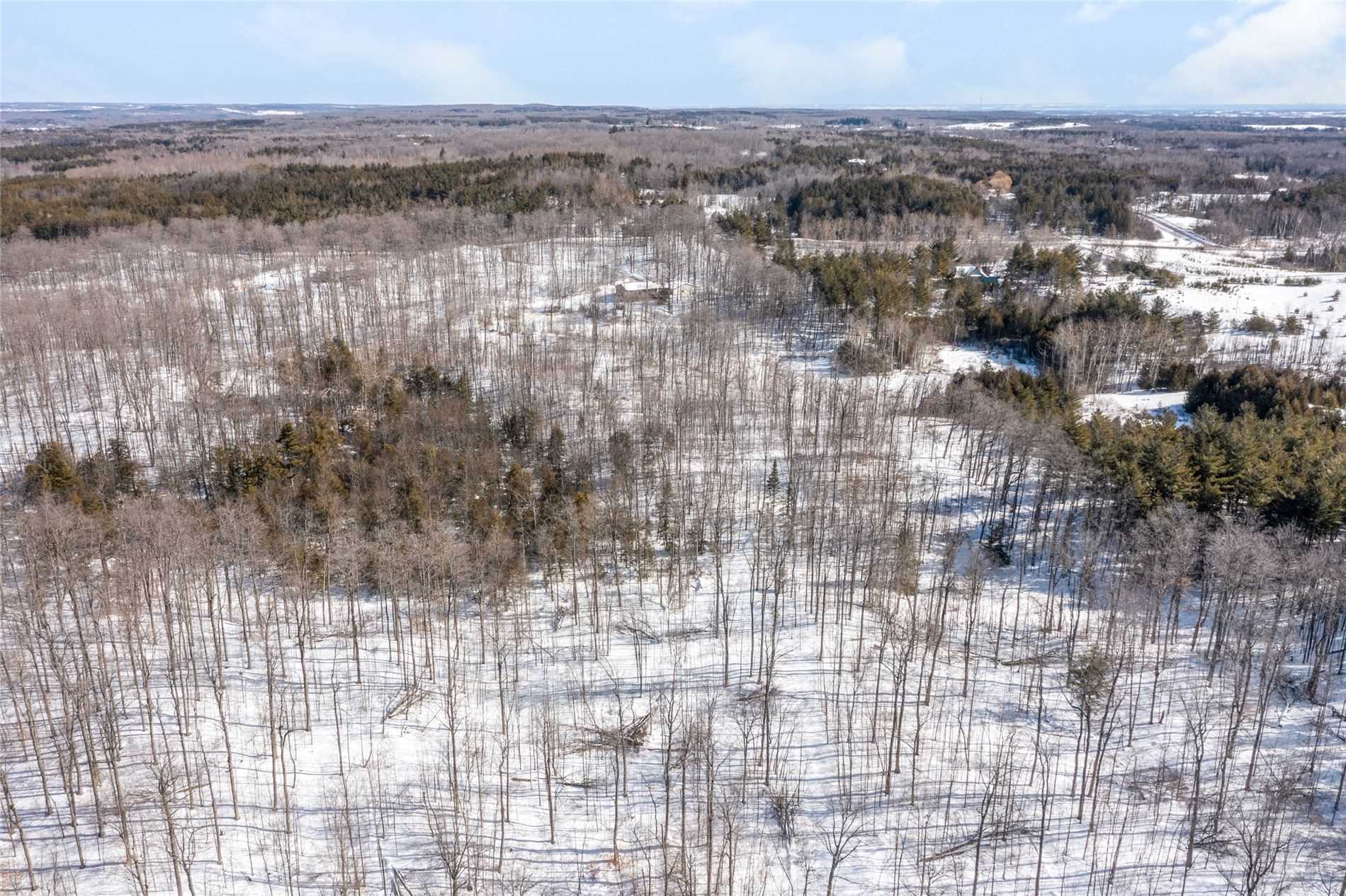 Listing X5962045 - Large Photo # 39