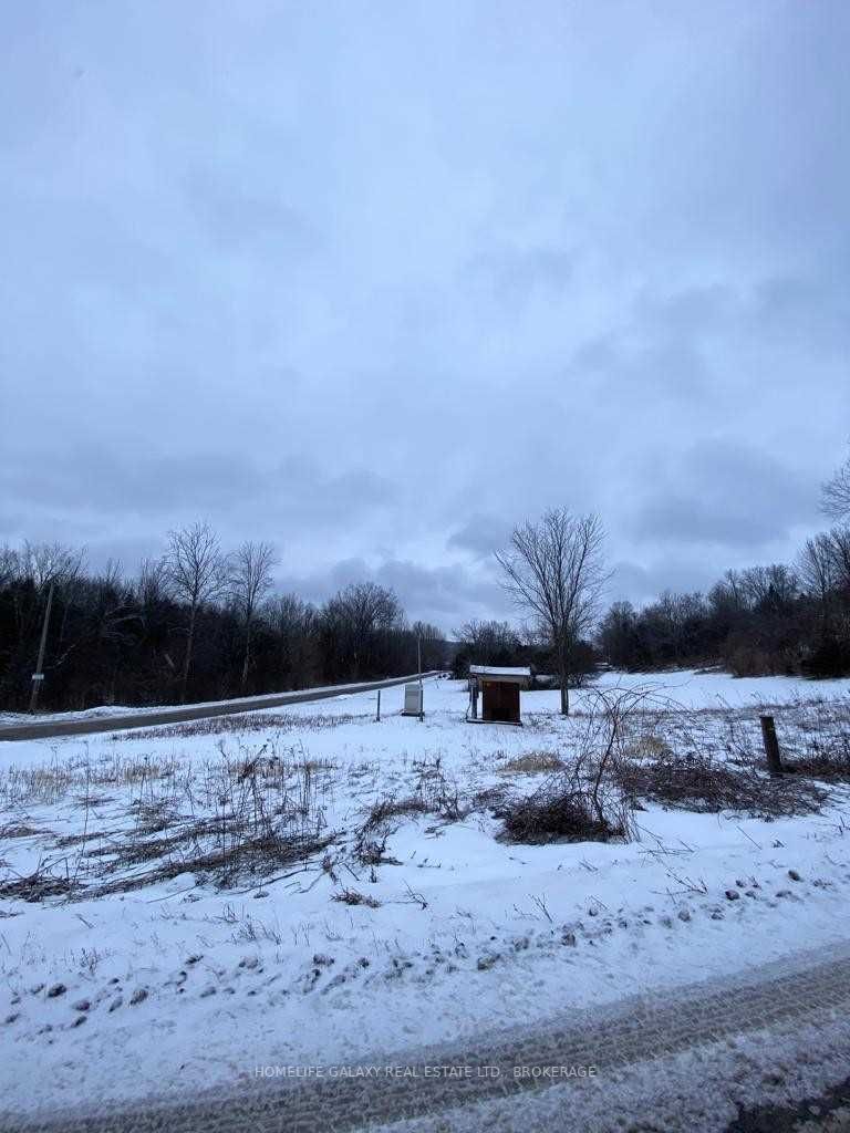 Listing X5962841 - Large Photo # 25