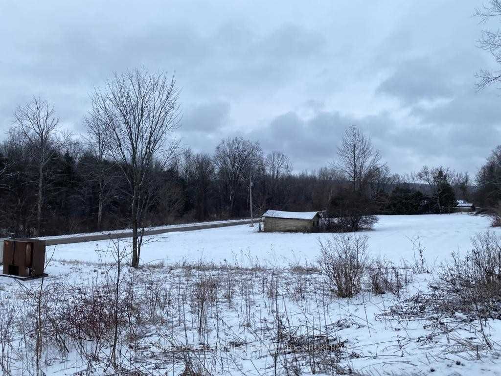 Listing X5962841 - Large Photo # 24