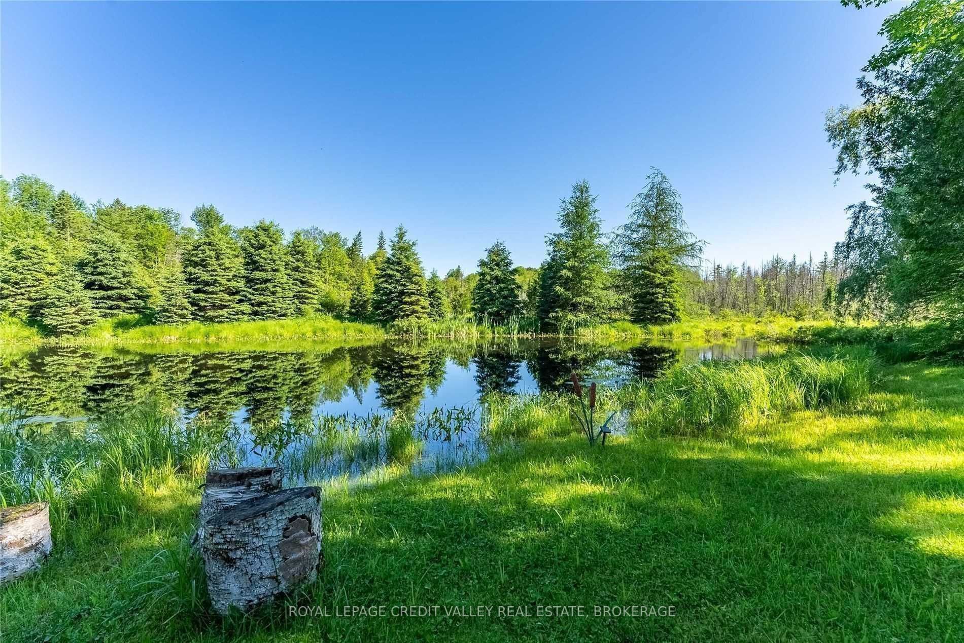 Listing X5963387 - Large Photo # 31